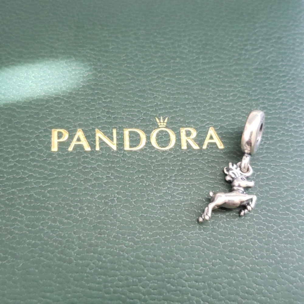 Pandora charm
